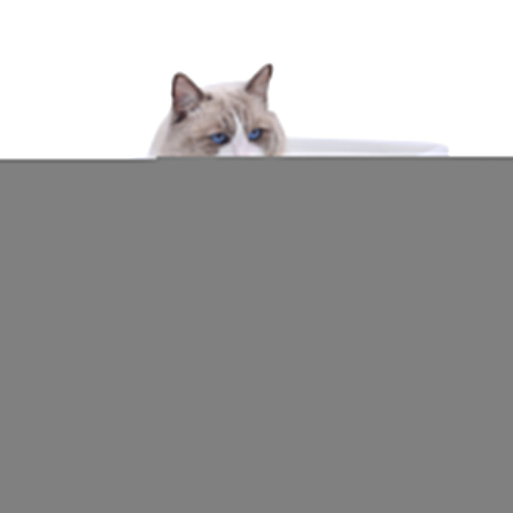YES4PETS Large Deep Cat Kitty Litter Tray High Wall Pet Toilet Tray With Scoop Green
