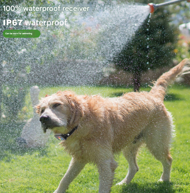 Black Rechargeable Remote Dog Training Collar - Waterproof E-Collar with Beep, Vibration & Shock Modes